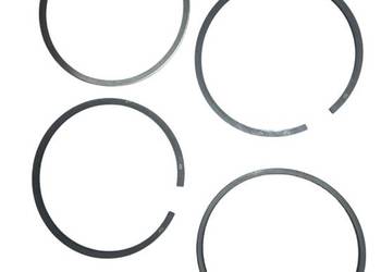 PIERŚCIENIE ZETOR FI 100MM (4P) KPL/1TŁO