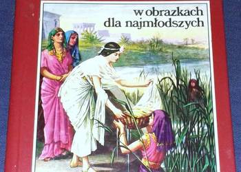 Biblia w obrazkach dla najmłodszych - Kenneth N. Taylor