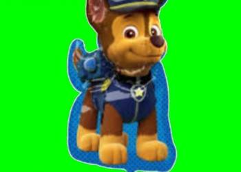 BALONY FOLIOWE   Psi patrol  -  baloniki z helem  balon