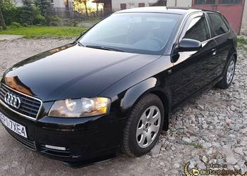 Zadbane Audi A3 8P 1.6 MPI LPG
