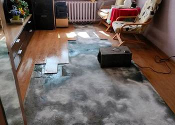 Ozonowanie po obecności zwierząt zabiegi sanitarne - Bartoszyce - Vector