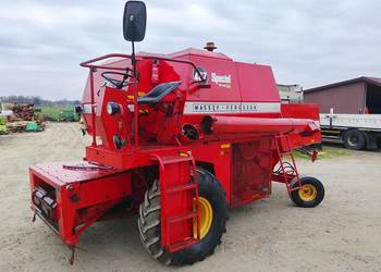 Kombajn Massey Ferguson 487 Specjal sieczkarnia oryginał zadbany 307/506