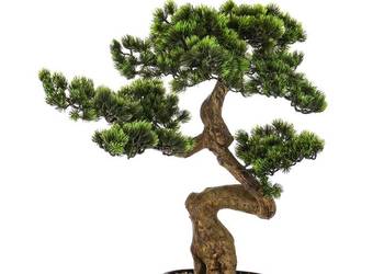 Sztuczne drzewko Bonsai Premium w doniczce 65x60x35