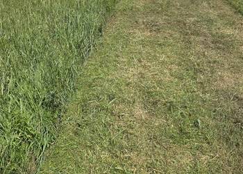 Mulczowanie łąk nieużytków działek czyszczenie  kosiarką bijakową 2m.