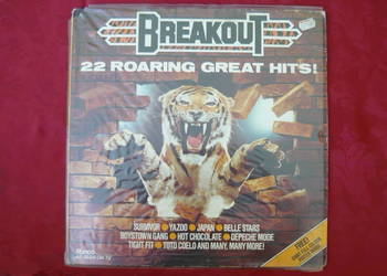 Płyty winylowe BREAKOUT