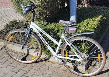 Author Vista - damski rower crossowy