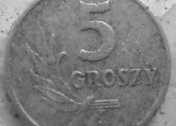 POLSKA-5 GROSZY-1962 r (b.z.)-AL-