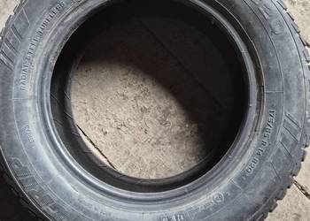 Opony Domin Grip 175/65 r14 82q