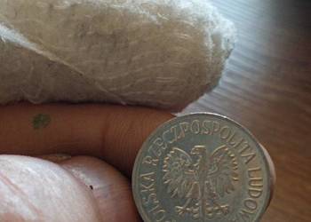 Sprzedam 20 gr 1981 r zzm Sprzedam 20 gr 1981 r zzm