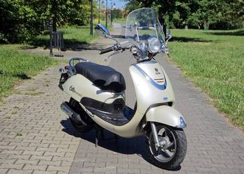 SYM Cello 50 ccm 4t skuter retro styl szeroki kierownik