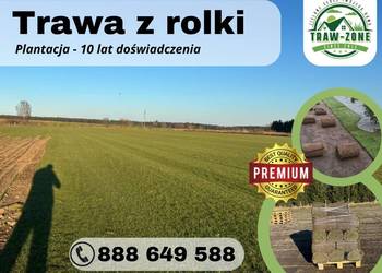 40m² trawa w rolce - Plantacja