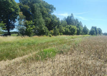 Działka inwestycyjna 3,6 ha – Burkat k. Działdowa
