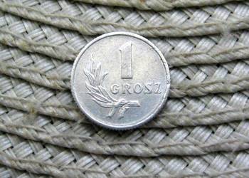 Polska 1 Grosz 1949r