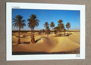 TUNEZYJSKA SAHARA - WIDOK NA WYDMY I PALMY ORAZ ZABUDOWANIA