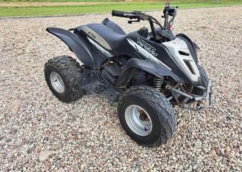 Quad E-ton Viper 90