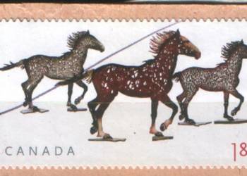 Zn. Kanada Mi 2802  kas 2007