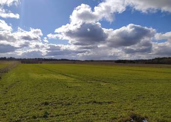 Jak tapeta z Windows XP