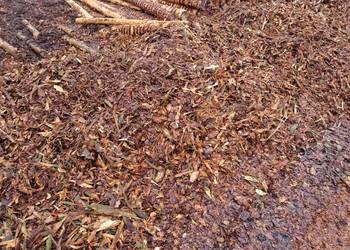 kora sosnowa luzem - mieszana frakcja