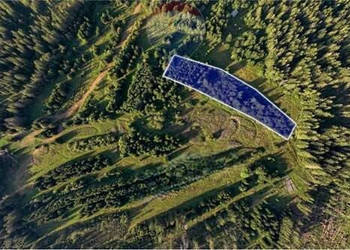 Działki Rolne - Sprzedaż - Dzianisz