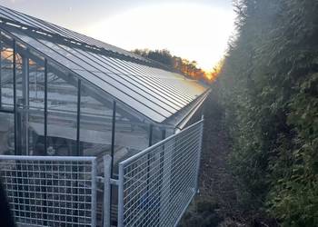 Szklarnia przemysłowa do rozbiórki 30m 10m