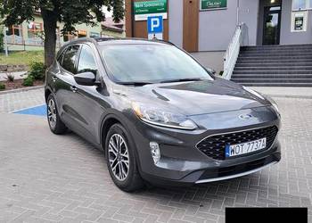 Ford Escape 1.5 Benzyna 181KM 2020r Escape/Kuga SEL - Dach Panoramiczny