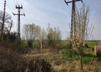 Domek z działką - Sadogóra