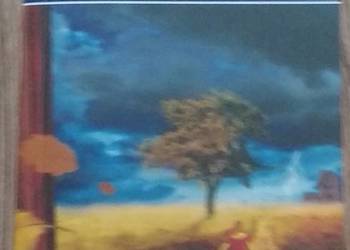 ROSE MADDER - KING STEPHEN