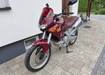 Aprilia pegaso 650 okazja 519#426#269