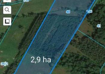 Okazja !!!!! 2,9ha rolno-budowlana z lasem ,warunki zabudowy , rzeka Narew.