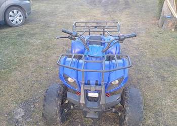 Quad 110 cm3