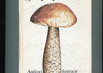 Grzyby leśne - Andrzej Grzywacz