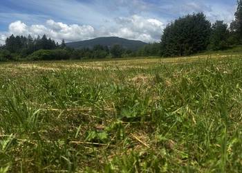 Widokowa działka w Beskidach – Tatry i Babia Góra na wyciągnięcie ręki