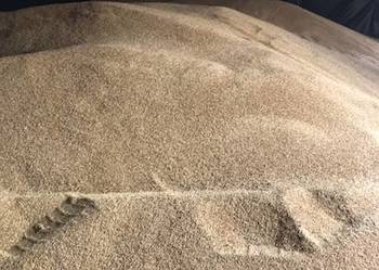 SPRZEDAM JĘCZMIEŃ JARY OK. 30 TON