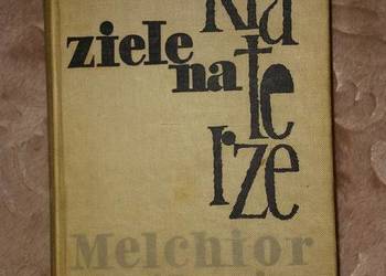 Melchior  Wańkowicz  Ziele na kraterze