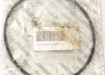 86629633 Pierścień uszczelniający CNH