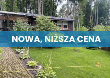 Domek letniskowy nad jeziorem Dłusko