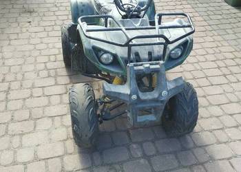 Quad Cobra 110