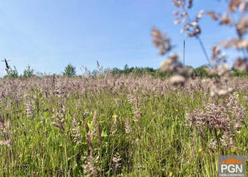 Sprzedam działka Trzebiatów 929m2