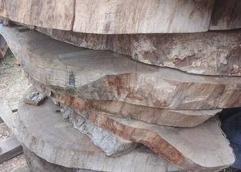 Sprzedam plastry dębowe i wiąza