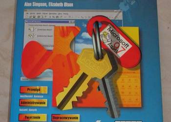 Access 97 - Alan Simson i Elizabeth Olson