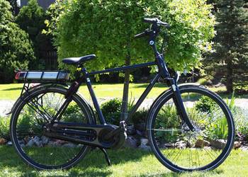 Rower elektryczny Sparta m7i Shimano Nexus 7