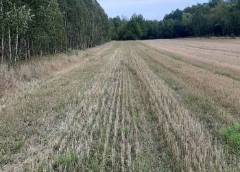 Działka rolna, 2900m2 sprzedaż bezpośrednia