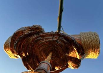 Lampa wisząca z czagi – unikatowe rękodzieło