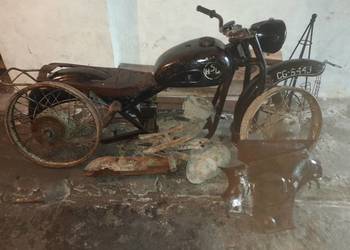 Shl m11 175