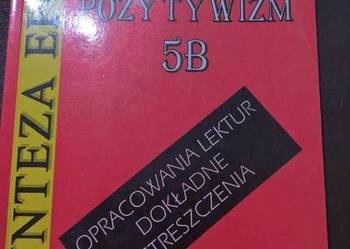 Pozytywizm , Synteza epoki, Jolanta Kulikowska