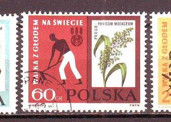 Zn. Fi 1223 - 5 kas 1963