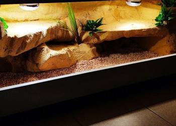 Terrarium hodowlane dla żółwia greckiego agamy brodatej