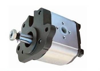 POMPA HYDRAULICZNA LANDINI (0510465364) (1424599M91) (331031