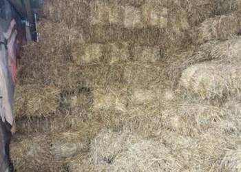 Słoma 2025, sucha!!!