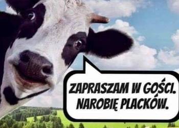 Marchew ekonatura kurier!